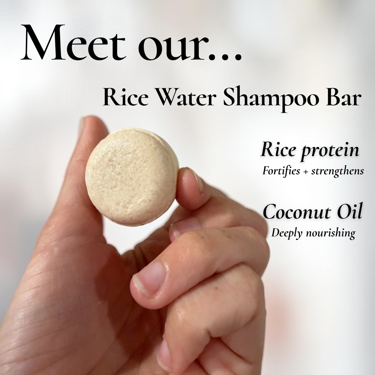 The Trio — 3 Shampoo Bars + Conditioner Bar