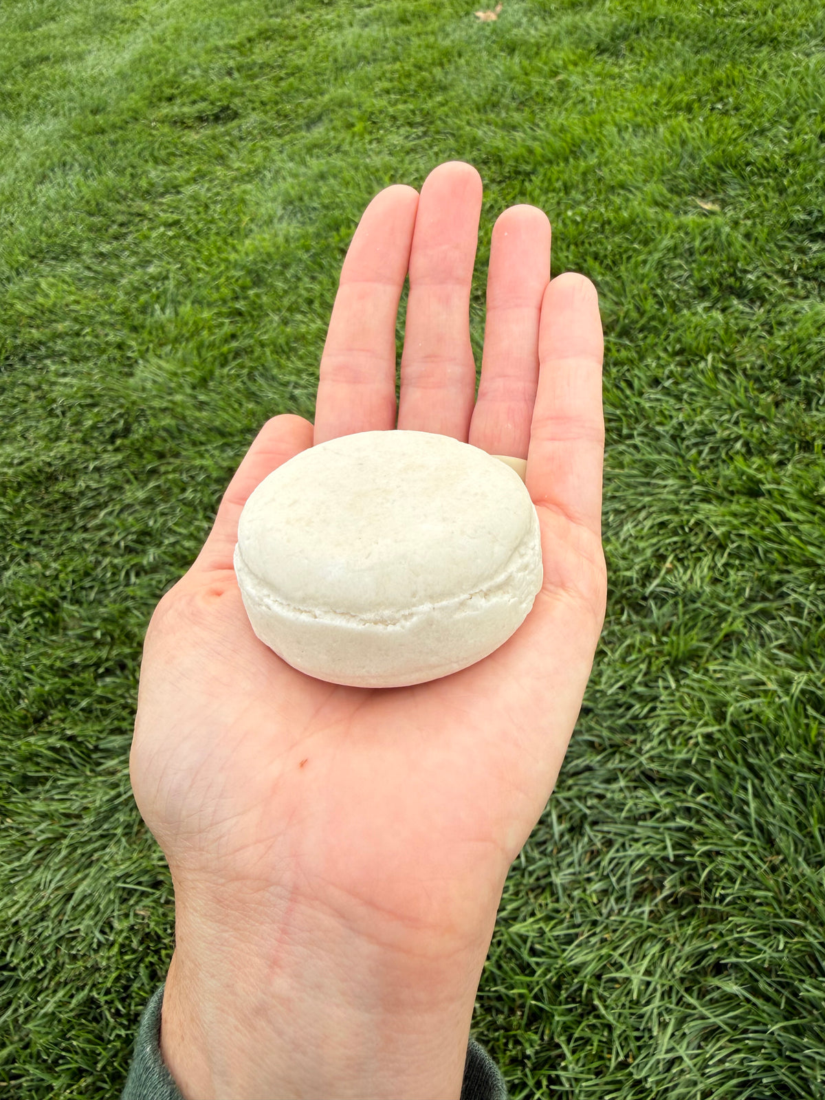 Shampoo Bars